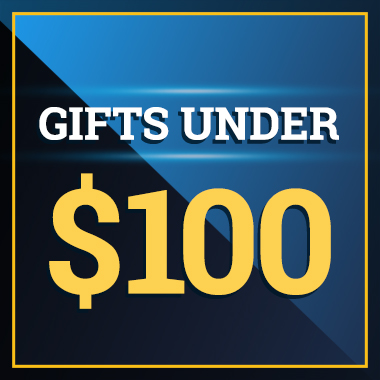 gifts under $100