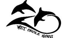 Dolphin logo in black