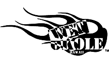 Flame logo in black