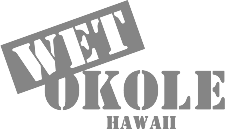 Wet Okole logo in grey