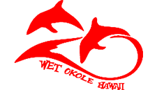 Dolphin logo in red