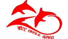 Dolphin logo in red