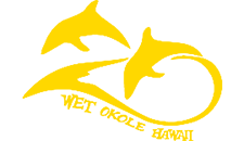 Dolphin logo in gold