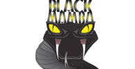 Black Mamba