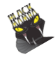 Black Mamba