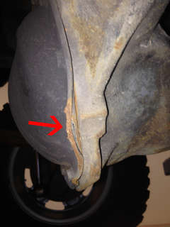 Damaged rear diff cover