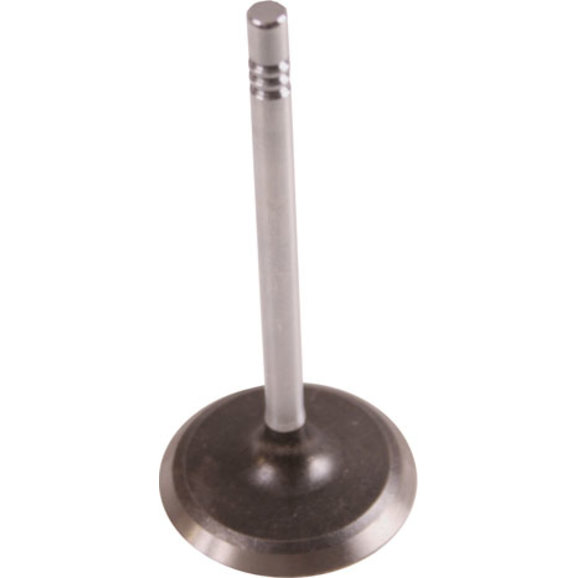 OMIX-ADA Intake Valve OMIX-ADA 17417.03 Intake Valve for 87-95 Jeep Wrangler YJ with 2.5L & 91-98 Jeep Wrangler YJ & TJ with 4.0L