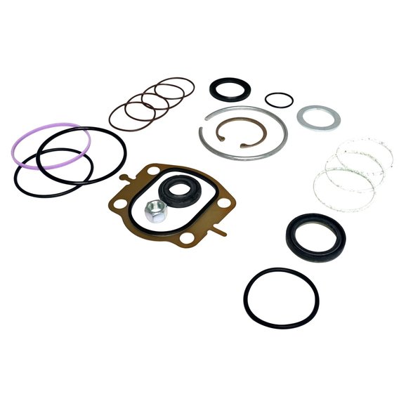 Crown Automotive Steering Box Master Seal Kit Crown Automotive 4470365MK Steering Box Master Seal Kit for 97-02 Jeep Wrangler TJ; 97-01 Cherokee XJ and 97-98 Grand Cherokee ZJ