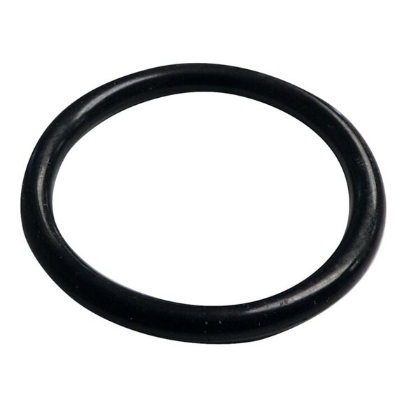 Crown Automotive Water Inlet Tube O-Ring Crown Automotive 4884873AA Water Inlet Tube O-Ring for 07-17 Jeep Patriot & Compass MK with 2.0/2.4L