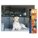 Heininger Automotive 3048 Pet Partition 