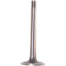 Crown Automotive J3218732 Intake Valve for 74-80 Jeep Vehicles with 5.0L 304c.i. 8 Cylinder Engine