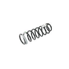 Mopar Front Coil Spring for 18-22 Jeep Wrangler JL 2-Door