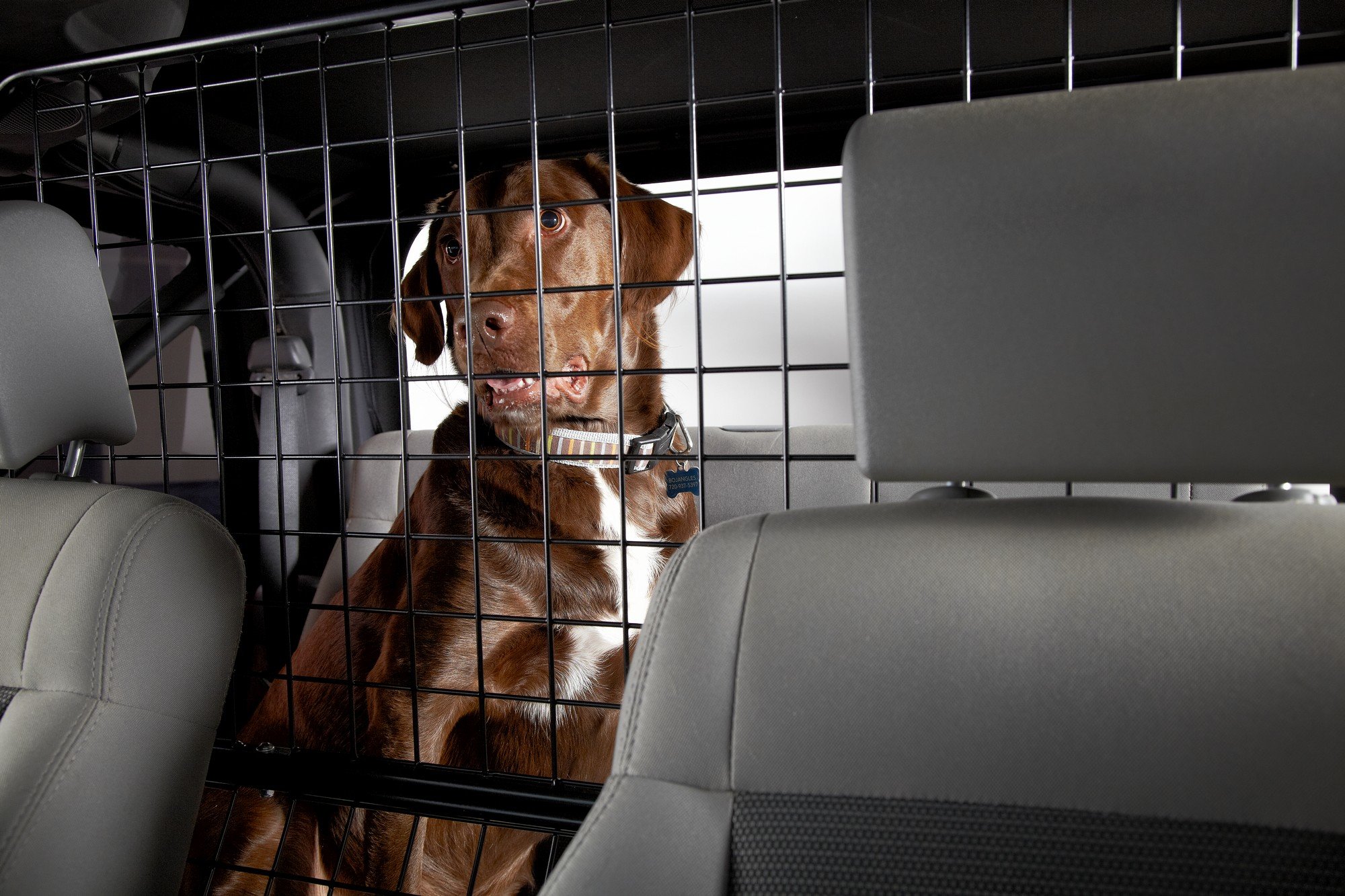Bestop pet barrier 2025