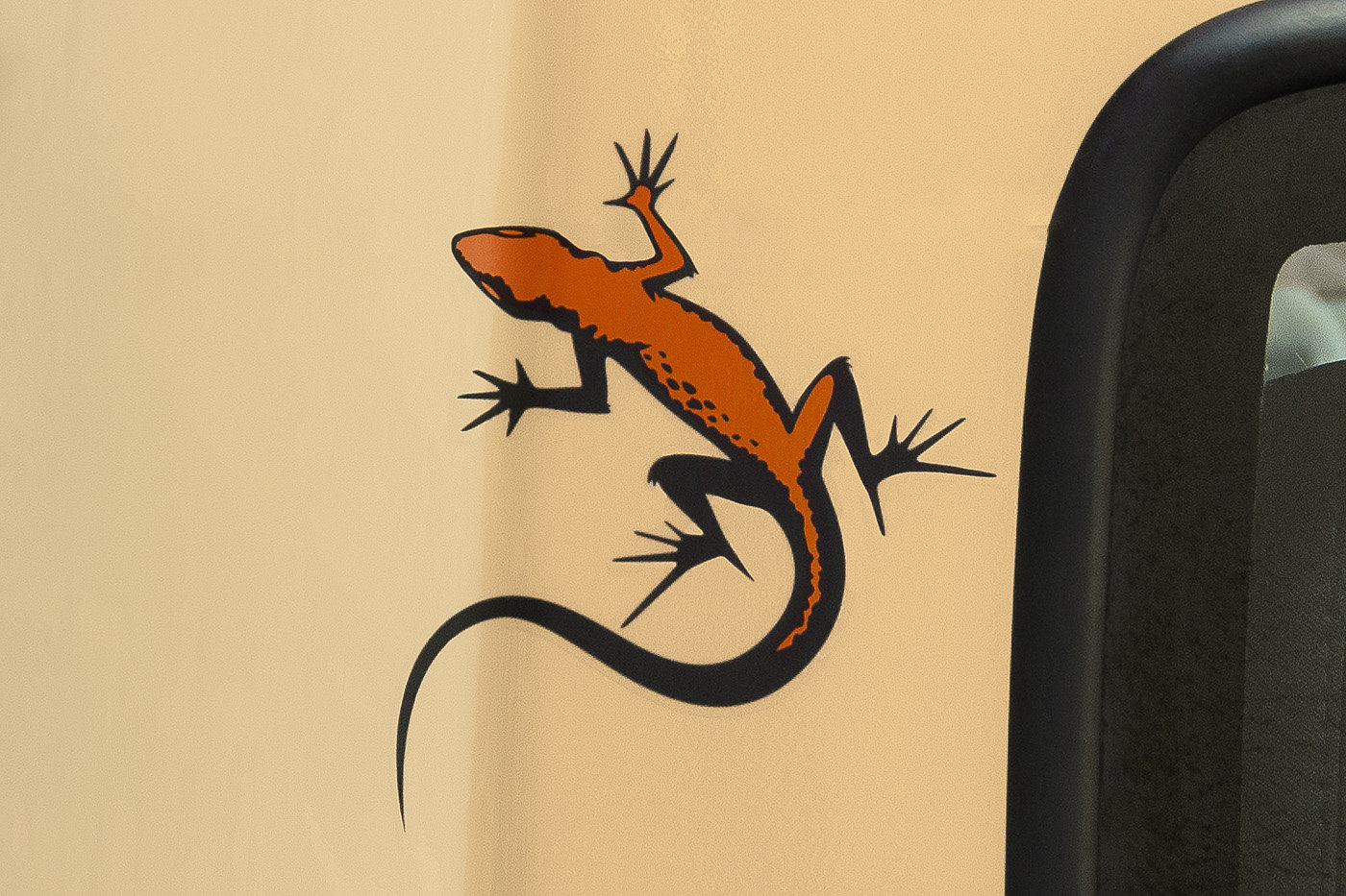 lizard decals