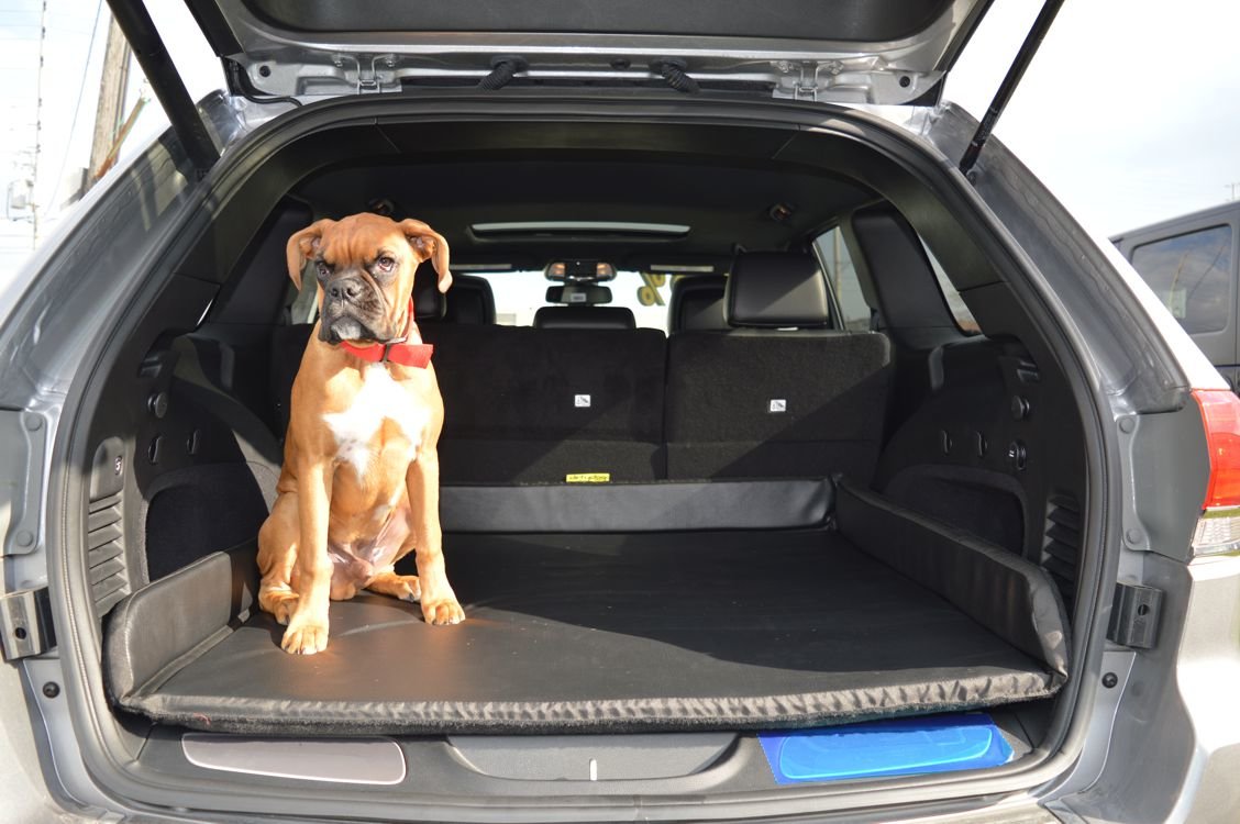 Jeep Grand Cherokee Cargo Space >> Dirtydog 4x4 Pp4138bk Cargo Area Crash Pad For 11 20 Jeep Grand Cherokee Wk Jeep Grand Cherokee Cargo Space >> Dirtydog 4x4 Pp4138bk Cargo Area Crash Pad For 11 20 Jeep Grand Cherokee Wk