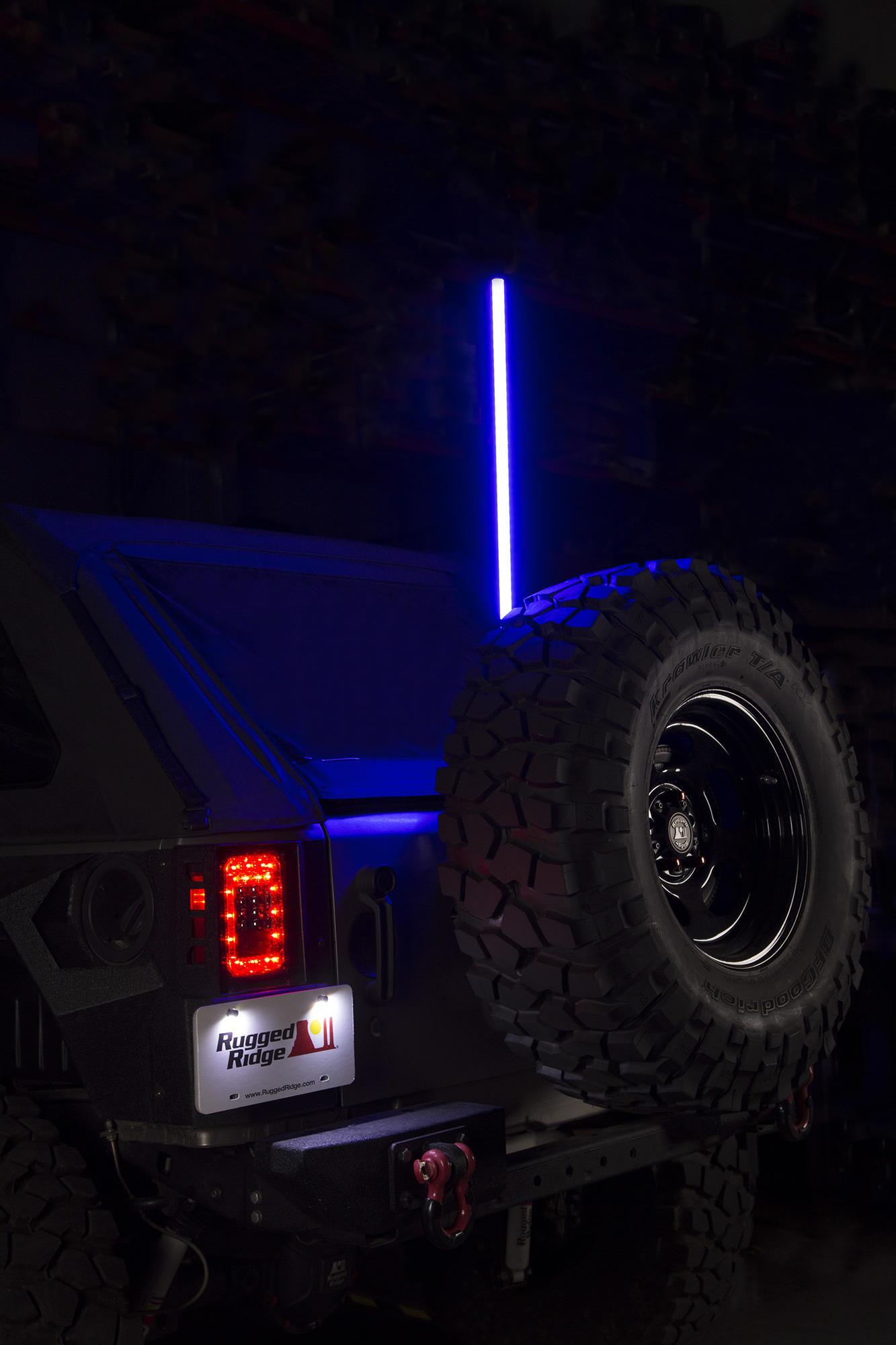 Rugged Ridge Multi Colored Led Lighted Whip With Mounting