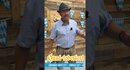 Embedded thumbnail for Quad-toberfest is BACK! Prost to Great Deals Sept 21–25, 2026